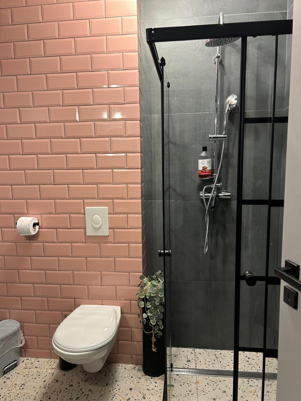 Becca'S Downtown Apartment With Private Parking Oradea Exterior foto